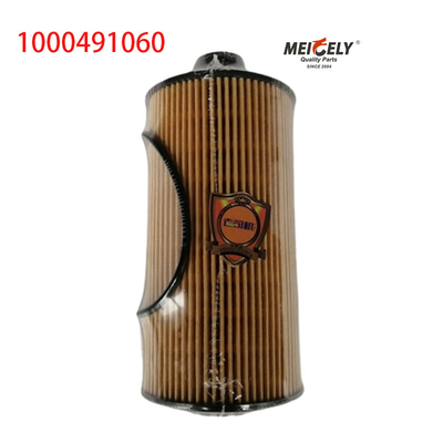 1000491060 FAW Jiefang J6PJH6 فیلتر روغن کامیون