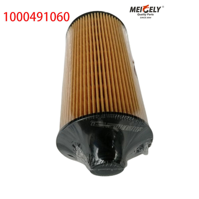 1000491060 FAW Jiefang J6PJH6 فیلتر روغن کامیون