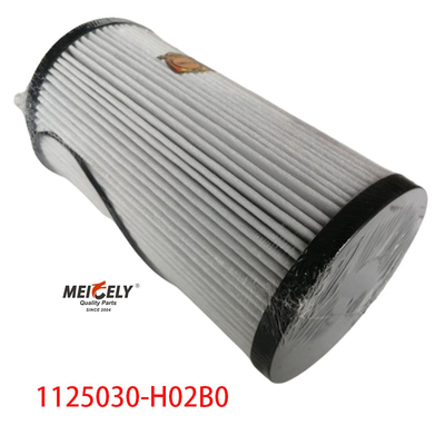 1125030-H02B0 قطعات کامیون فیلتر سوخت برای Dongfeng Tianlong