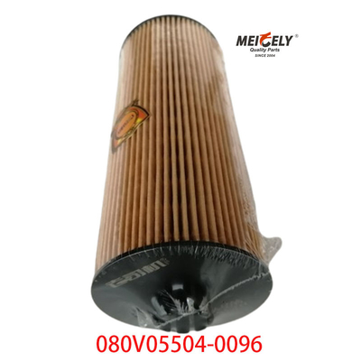 سهام OEM 080V05504-0096 برای فیلتر روغن کامیون SINOTRUK Howo T5G