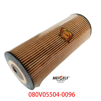 سهام OEM 080V05504-0096 برای فیلتر روغن کامیون SINOTRUK Howo T5G