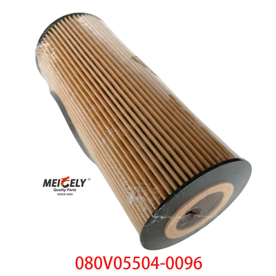 سهام OEM 080V05504-0096 برای فیلتر روغن کامیون SINOTRUK Howo T5G
