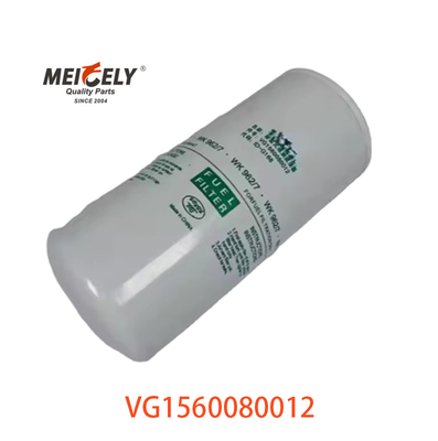 VG1560080012 فیلتر سوخت 20805349 برای SINOTRUK CNHTC HOWO
