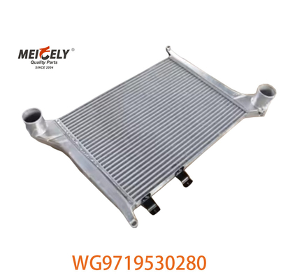 OEM WG9719530280 برای مونتاژ Intercooler Howo WG9719530281