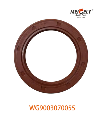 WG9003070055 مهر روغن PS55X75X12 مناسب برای SINOTRUK CNHTC