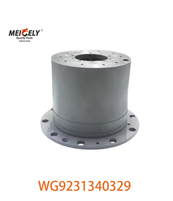 WG9231340329 تصویر اصلی نمایشگر مجمع سیاره ای برای SINOTRUK HOWO مدل ماشین