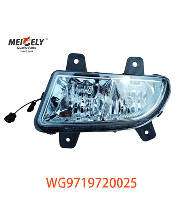 لامپ های گروه بندی شده ماشین سنگین Sinotruk Howo WG9719720025 WG9719720001