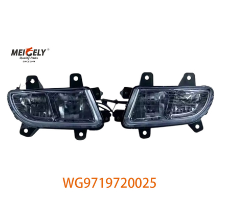 لامپ های گروه بندی شده ماشین سنگین Sinotruk Howo WG9719720025 WG9719720001