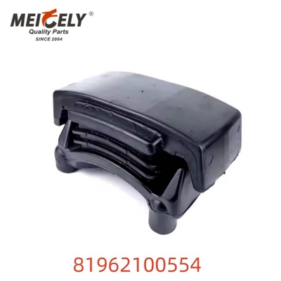 OEM 81962100554 قطعات ماشین نصب بهار برگ با کیفیت بالا برای مرد