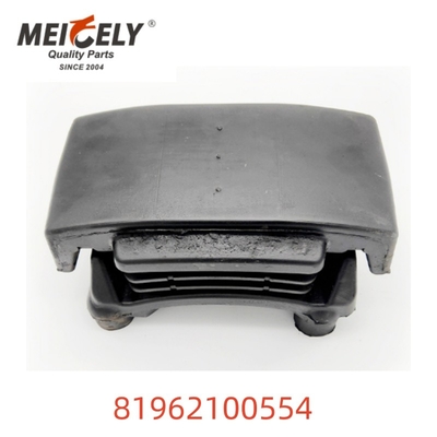 OEM 81962100554 قطعات ماشین نصب بهار برگ با کیفیت بالا برای مرد