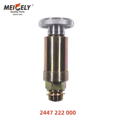 پمپ سوخت موتور با کیفیت بالا پمپ دستی OEM 2447222000 برای مرسدس بنز