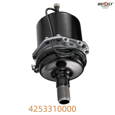 Daf Spring Brake 4253310000 راه حل توقف با کیفیت بالا